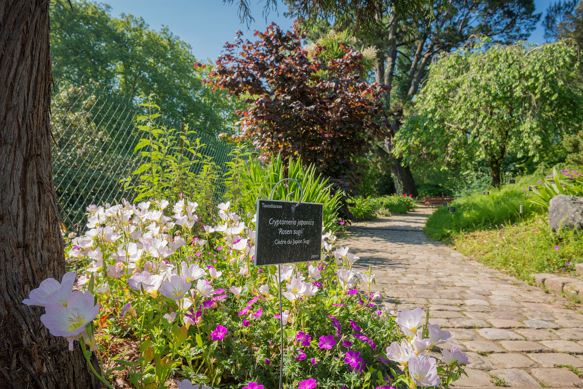 Parcs Squares Et Jardins A Bayonne Ville De Bayonne