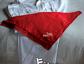 Agrandir l'image (fenêtre modale)