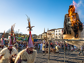Agrandir l'image (fenêtre modale)