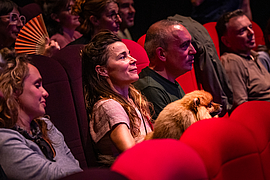 Agrandir l'image (fenêtre modale)