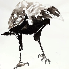 Agrandir l'image (fenêtre modale)