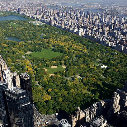 "Central Park", du cinéaste américain Frederick Wiseman, l'un des documentaires conseillés par L'Atalante