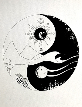 Agrandir l'image (fenêtre modale)