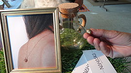 Agrandir l'image (fenêtre modale)