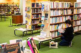 Agrandir l'image (fenêtre modale)