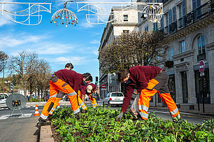 Comme le jardin Léon-Bonnat, la rue Thiers bénéficie d'un embellissement dit horticole, avec un choix de plantes annuelles et bisannuelles - Agrandir l'image (fenêtre modale)