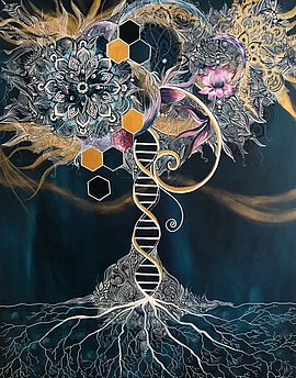 Agrandir l'image (fenêtre modale)