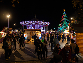 Agrandir l'image (fenêtre modale)