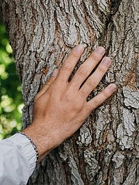 Notre rapport à la nature