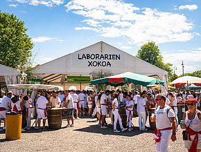 Agrandir l'image (fenêtre modale)