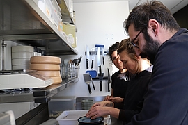 Agrandir l'image (fenêtre modale)